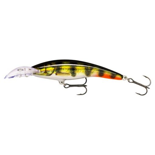 live-hologram-perch