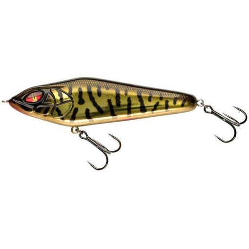 golden-burbot