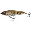 Live Burbot