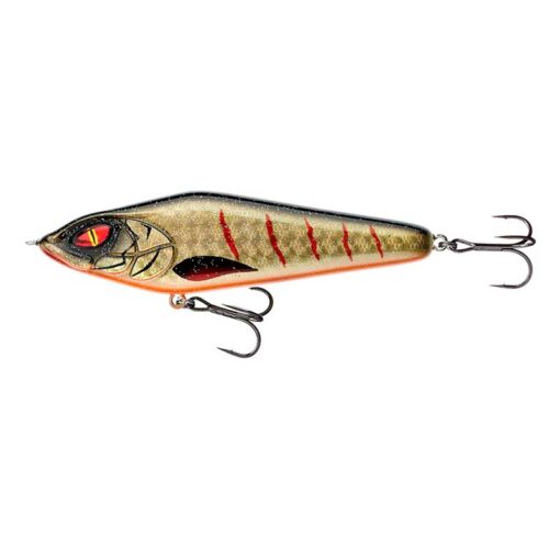 golden-shiner
