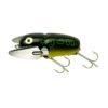 Bullfrog
