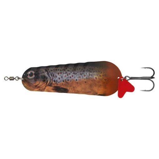 brown-trout