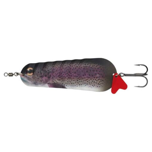 rainbow-trout