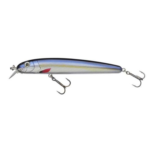blue-herring