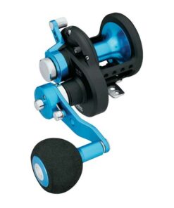 Daiwa Saltist LD30 2 Speed