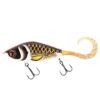 Spotted Bullhead