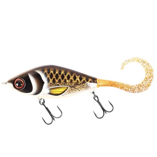 spotted-bullhead