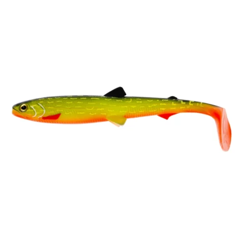 baltic-pike
