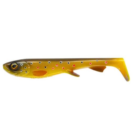 brown-trout