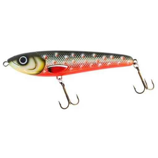 arctic-char