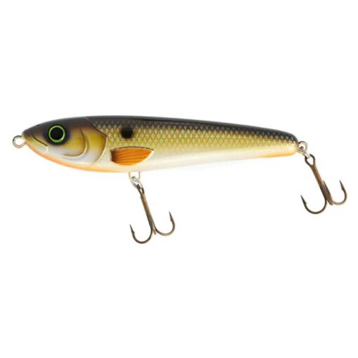 froso-shad