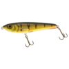 Perch