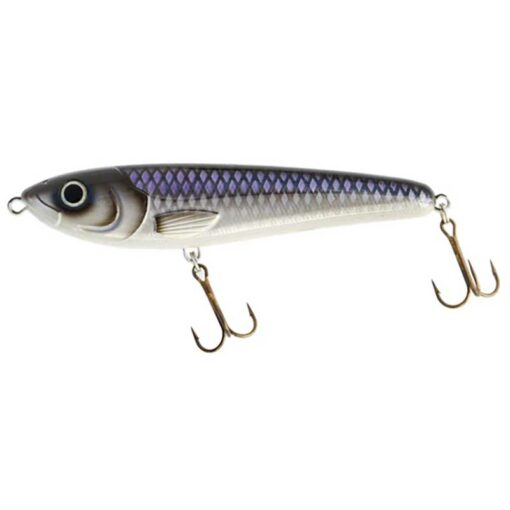 whitefish