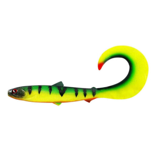 tiger-perch