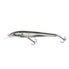 Silver Minnow