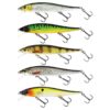 Olive Minnow