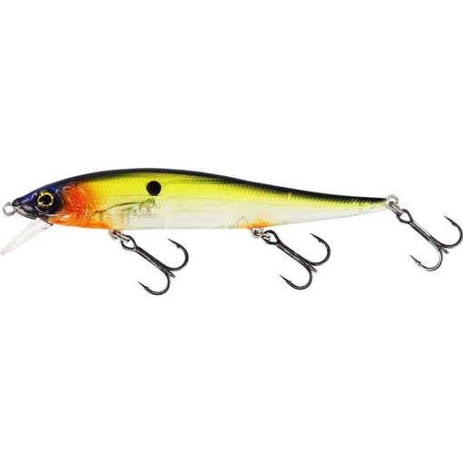 hot-shad