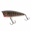 Black Trout