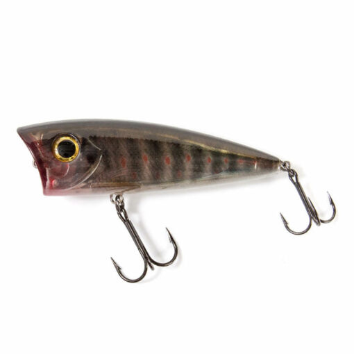 black-trout