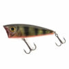 10 Perch