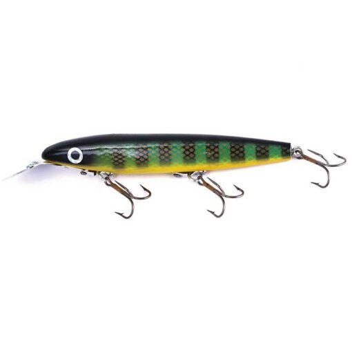 yellow-perch