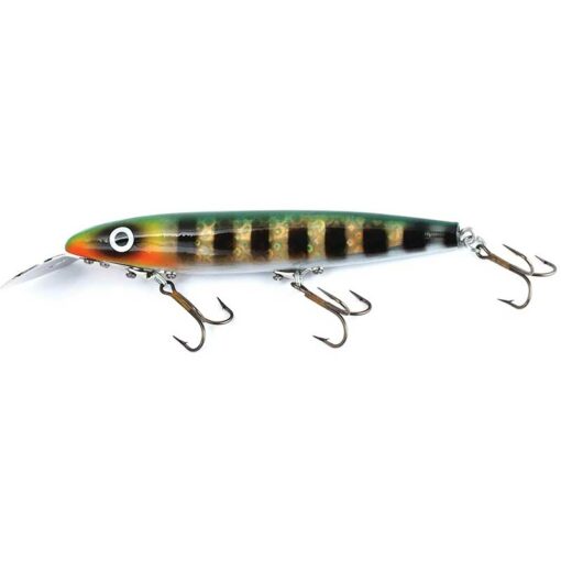 10-perch