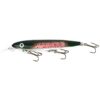 Rainbow Trout