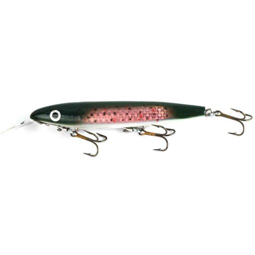 rainbow-trout