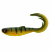 Yellow Perch