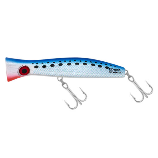 pilchard