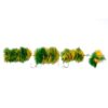 Green Parakeet