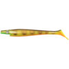Orange Belly Perch