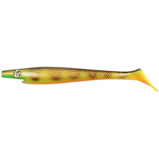 orange-belly-perch