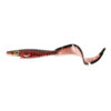 Burbot