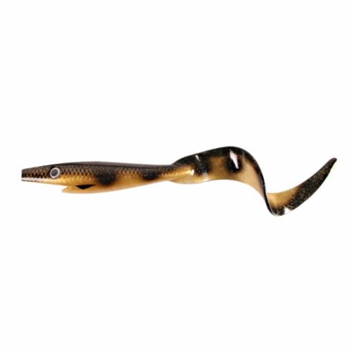 spotted-bullhead