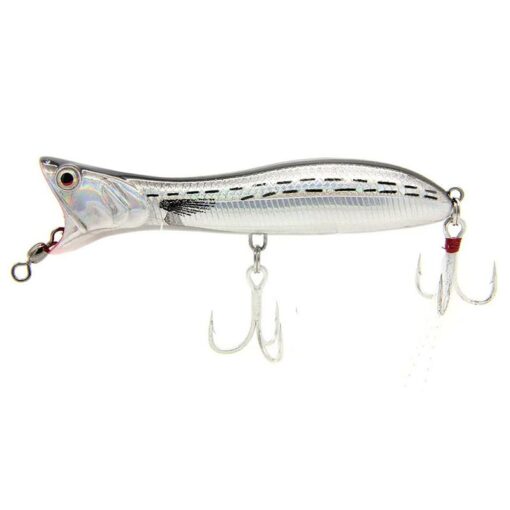 dirty-silver-mullet