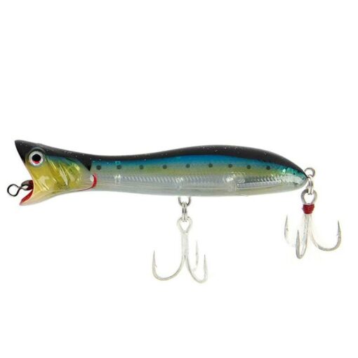 sardine