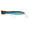 Blue Sardine