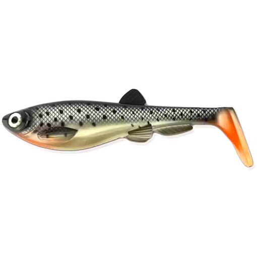 seatrout