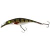 Cannibal Perch