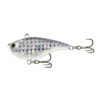 Disco Shad