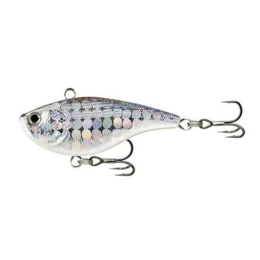 disco-shad