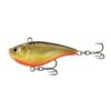 Golden Shiner