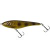Spotted Bullhead