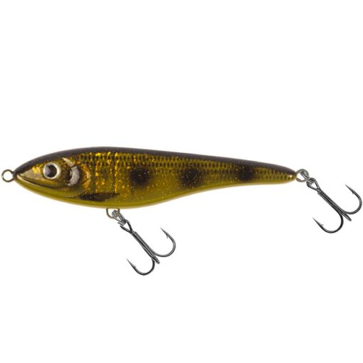 spotted-bullhead