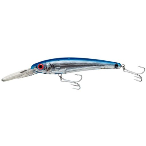 silver-fl-blue-fl