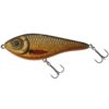 Golden Roach