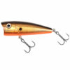 Golden Shiner