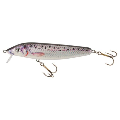 whitefish-violet