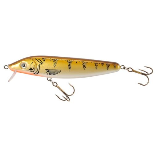 yellow-perch